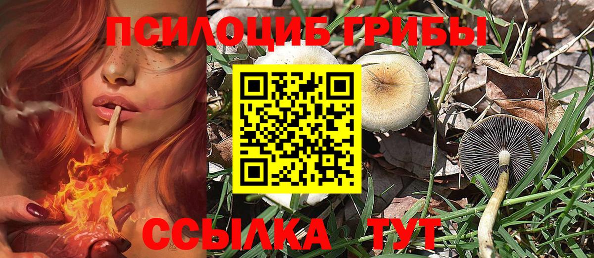 Псилоцибиновые грибы ЛСД  Вход с VPN  Сорочинск 